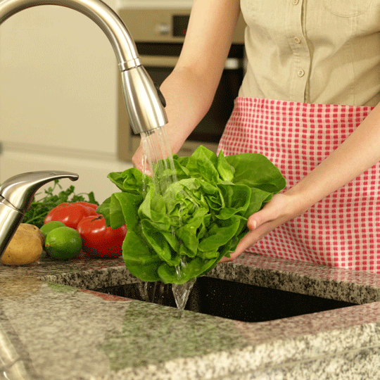 Washing lettuce at sink